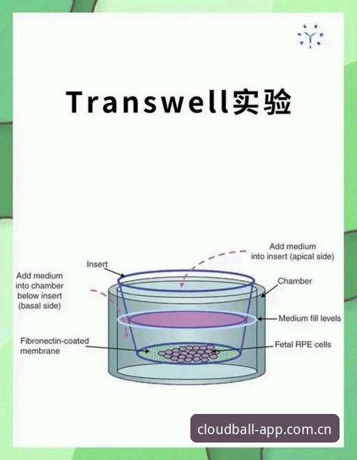 云体育一贯如此CN收藏功能手机版：跨设备同步的新手实操指南